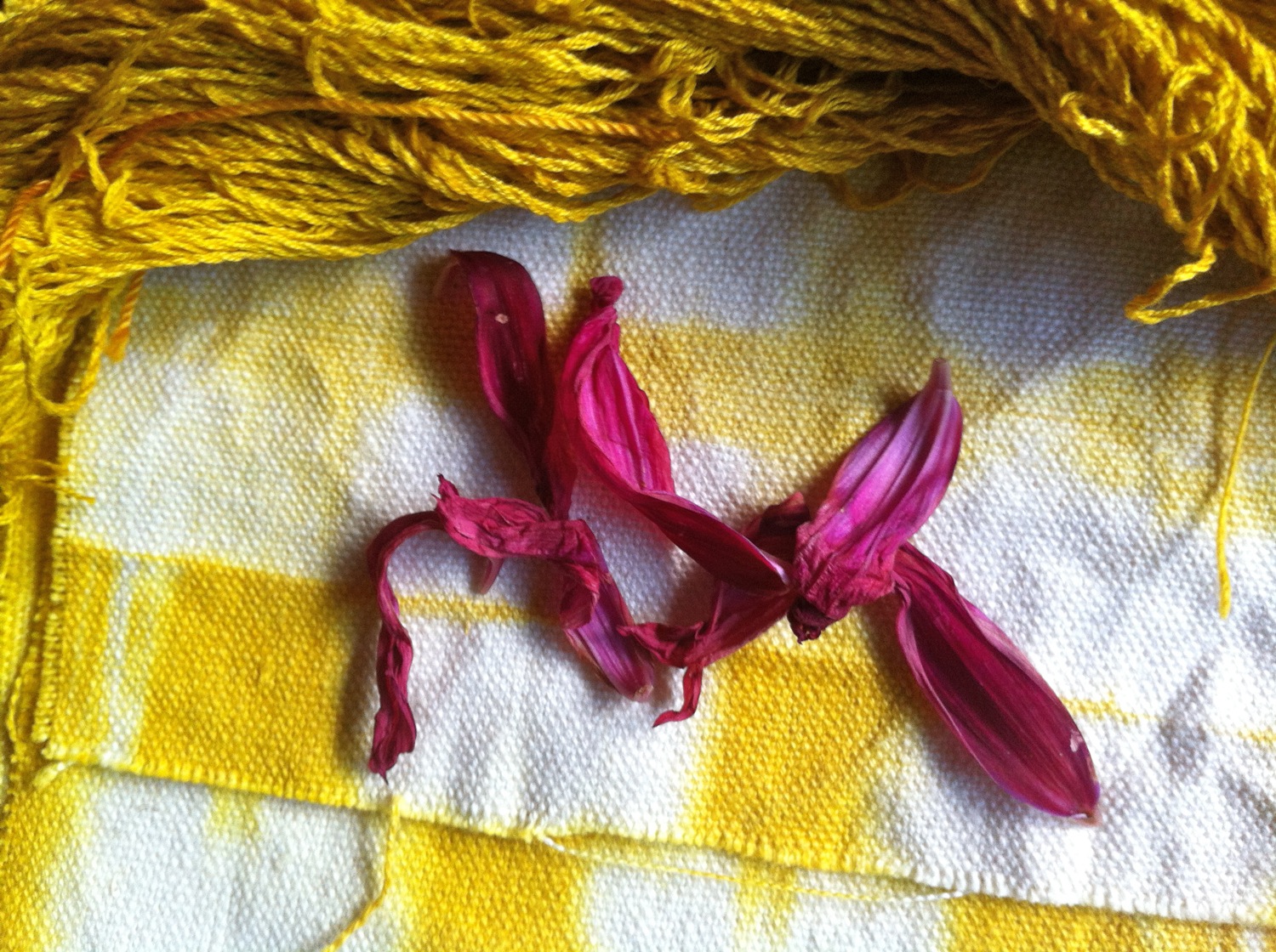 petalplum {how to} naturally dyeing fabric with turmeric
