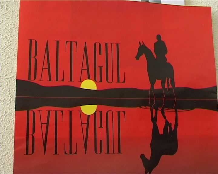Baltagul De Mihail Sadoveanu Pdf Download [BETTER] baltagul-mihail-sadoveanu-rezumat