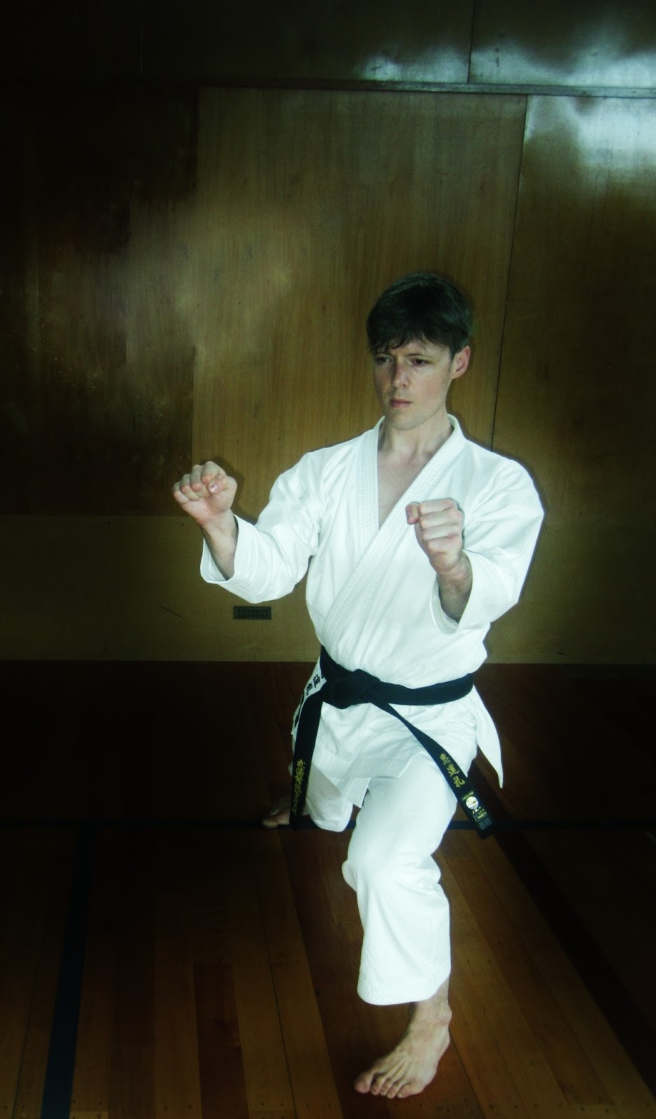 uke karate kihon block technique wedge self dachi kumite zenkutsu defence andré bertel unsu heian yakusoku oyo across found right