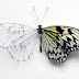 Creative and unique Broken Butterflies by Anne ten Donkelaar  - Si Bejo unique 