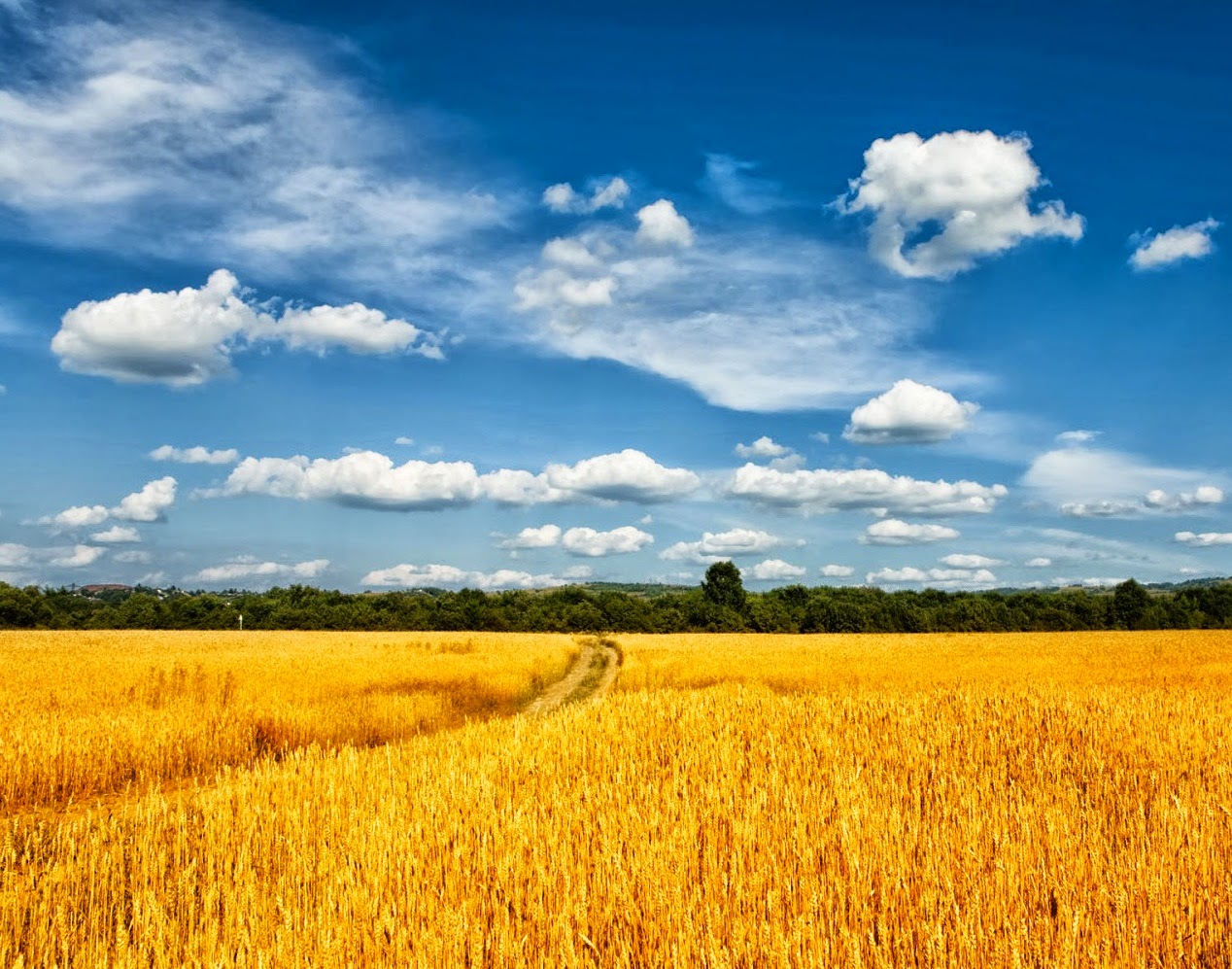 I dont know how much research R...