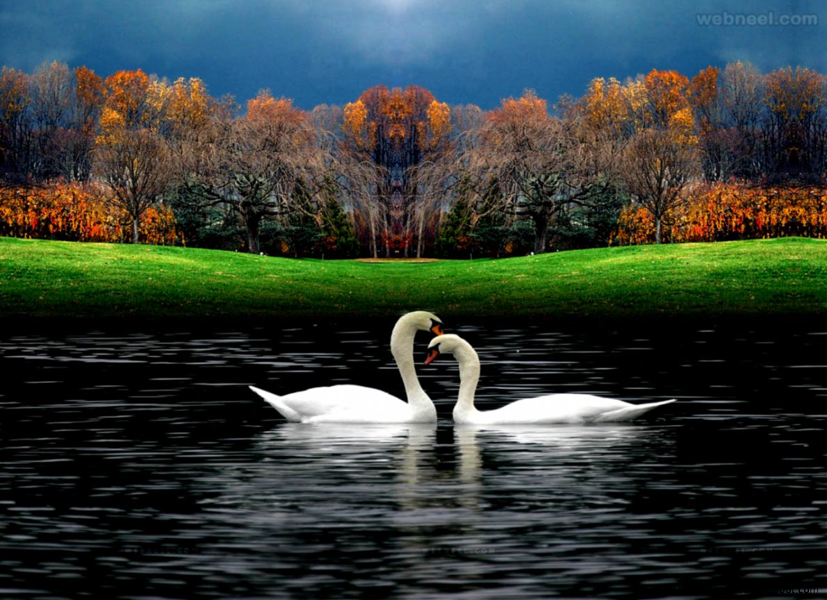 Photos Wallpaper Collection 46 Photos Wallpaper Collection 46