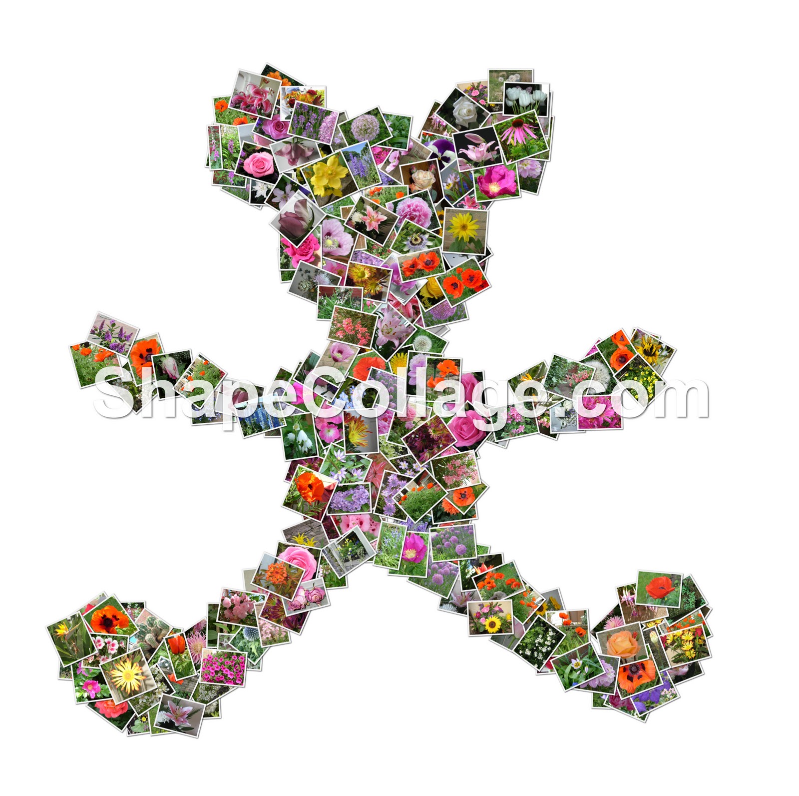 graphic shape collage graphic shape collage