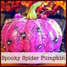 spooky spider pumpkin