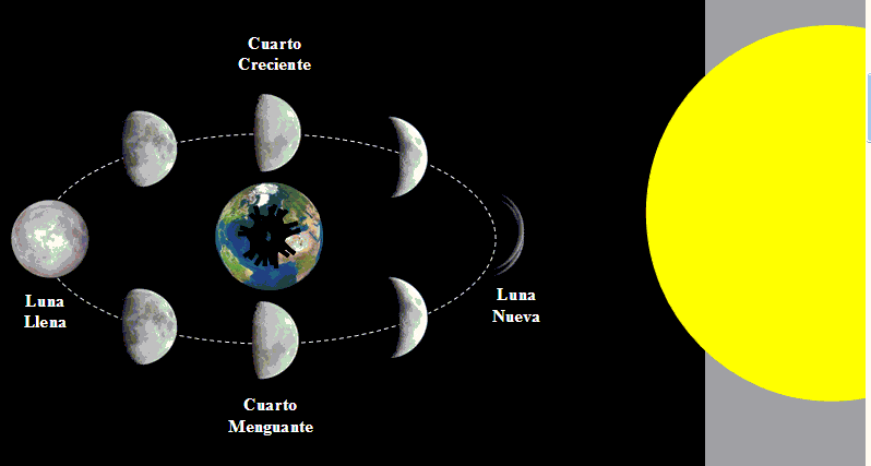 Fases De La Luna