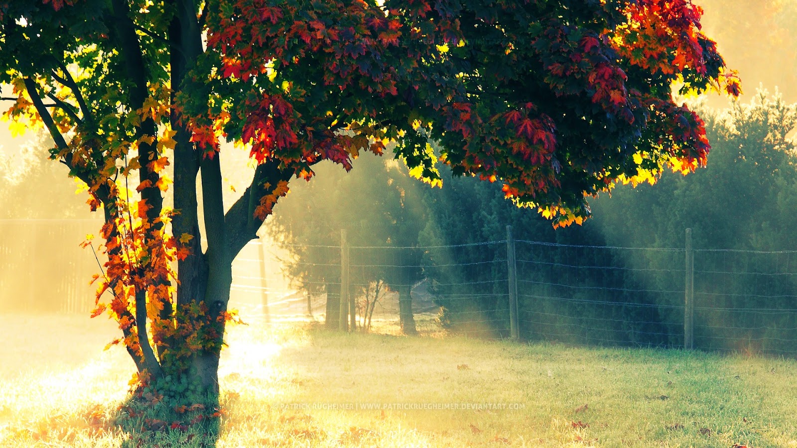 Autumn Wallpaper HD 1080p