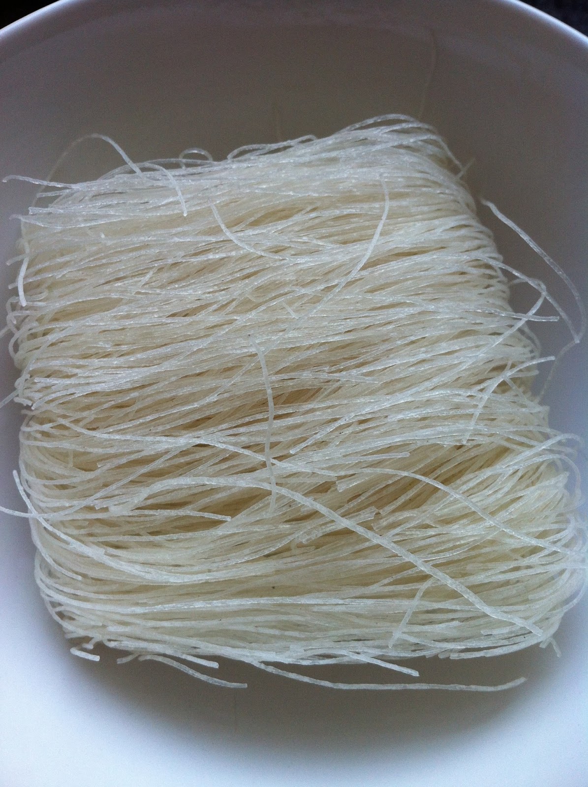 MEL DIN BLOG VIETNAMESE RICE PAPER ROLLS RECIPE