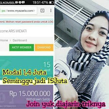 Peluang Bisnis