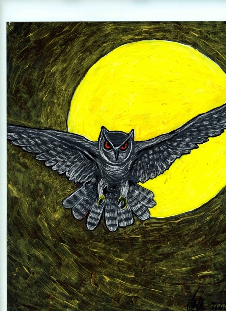 moon owl
