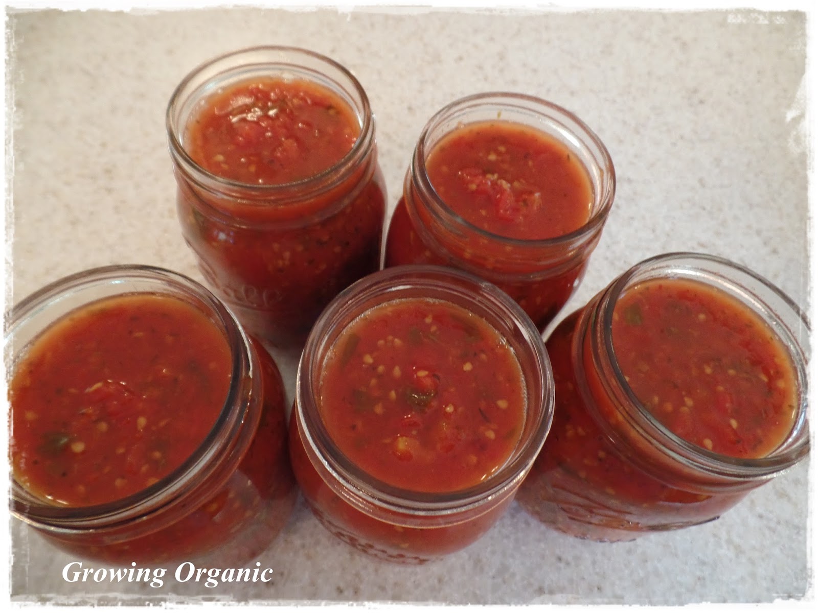 Growing Organic The Best Tomato Sauce!