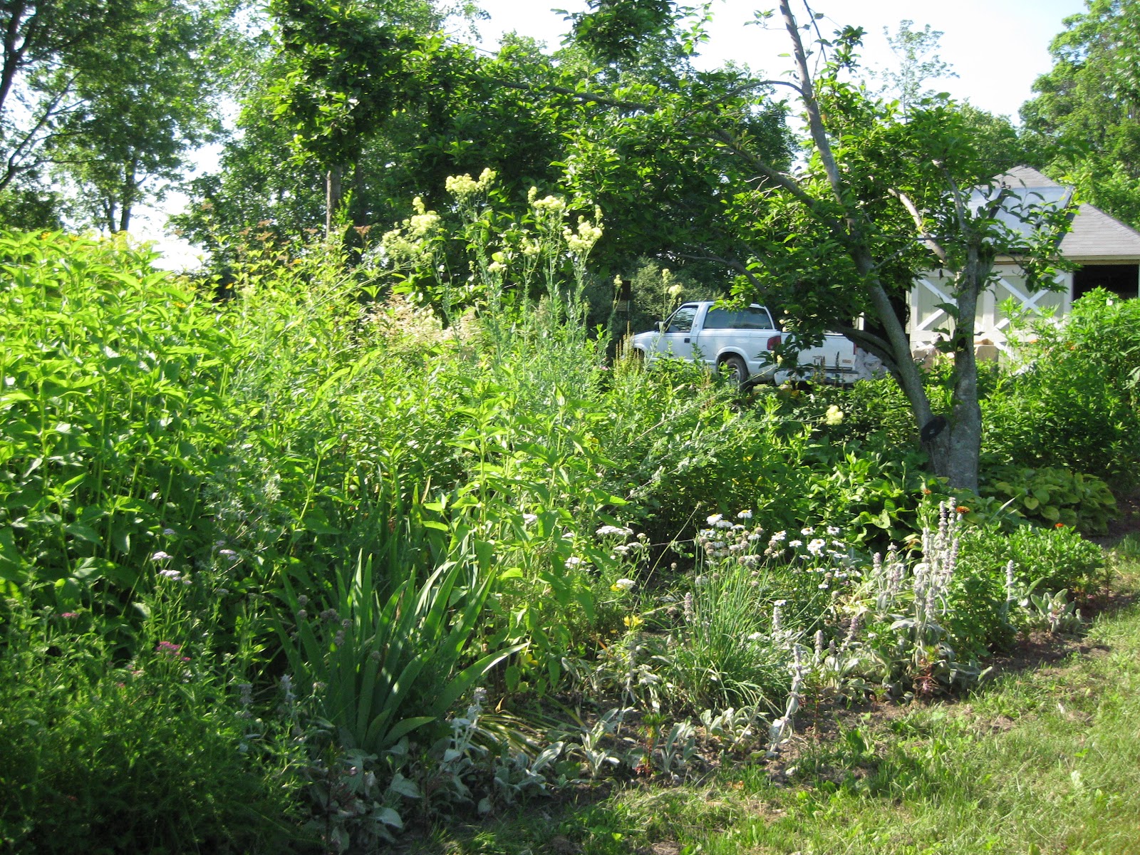 SUSAN SIMON SAYS Bucolic,defined