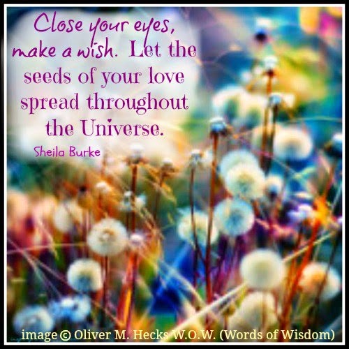 Close your eyes , make a wish. Let the seeds of your love spread ...
