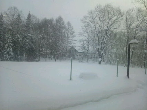 20120226-DSC_0099_1.jpg