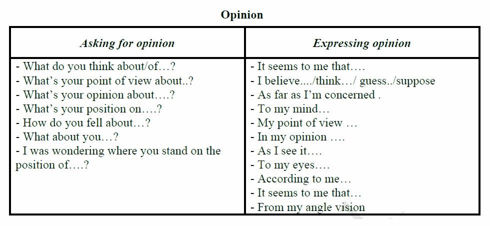 The Youth Of Today | Teen Opinion Essay | Teen Ink