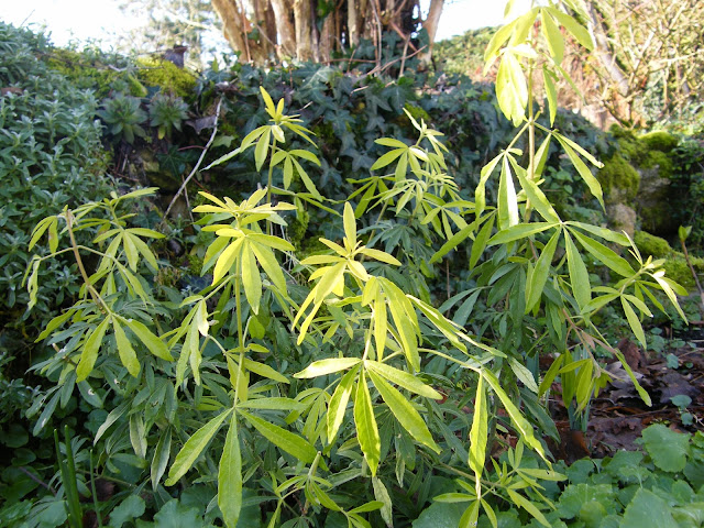 Le Vieux Clos Jardin Des Sens Le Toucher