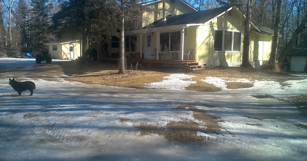 MY ALASKA WAY OF LIFE Alexander Creek