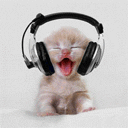 Nuestra mascota, Gato DJ