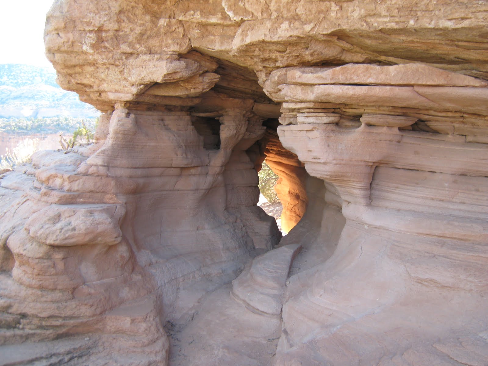 Canyon Rim/Window Rock