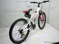 D 24 Inch Element Voyager HardTail Mountain Bike