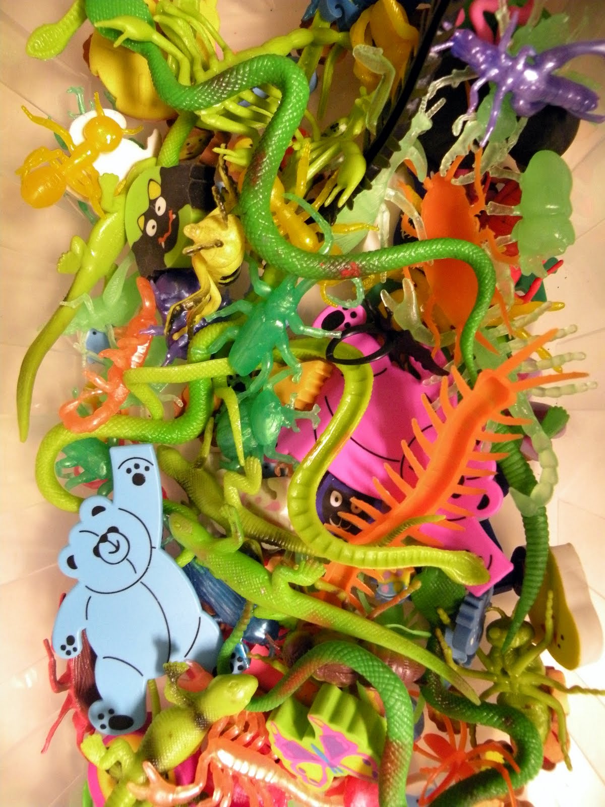 The Fantastic Five Beautiful Bottlecap Bugs