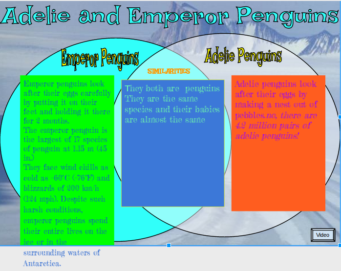 adelie penguin diagram adelie and emperor penguins adelie penguin diagram adelie and emperor penguins