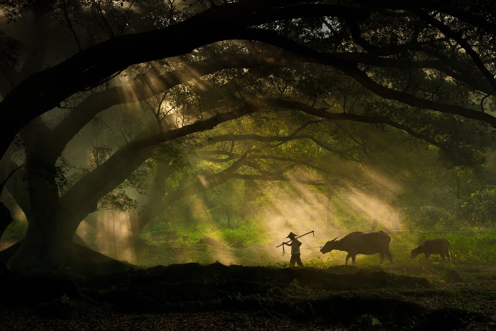 sony world photography awards travelling exhibition sony world photography awards travelling exhibition