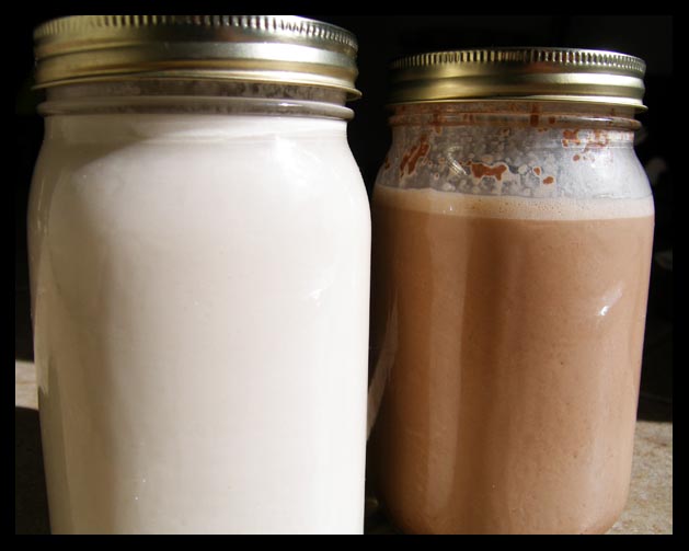 All that is Almonds Almond Butter, Almond Milk, Almond Cheese, Almond Flour… stuff I feed brian