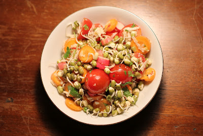 sprouted moong dal (mung bean) farm salad sprouted moong dal (mung bean) farm salad