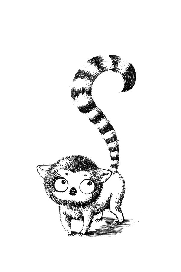Lemur Drawing