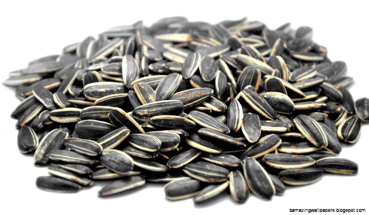 sunflowerseeds sunflowerseeds