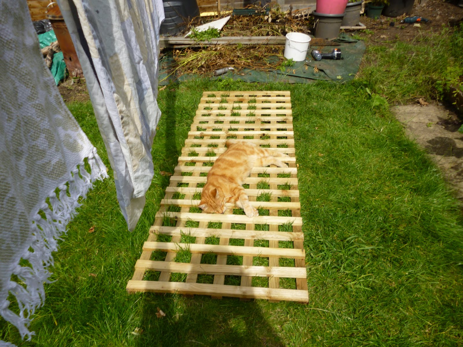 Gardens and Cats Trellises for Cats