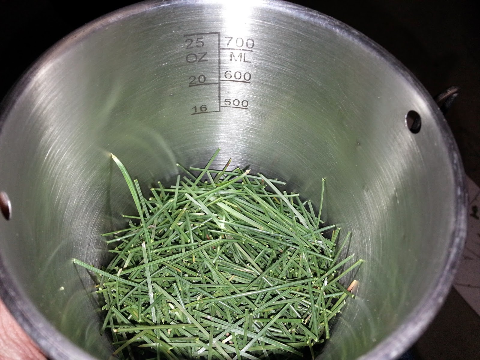 The 7 P's Blog How to Make Pine Needle Tea