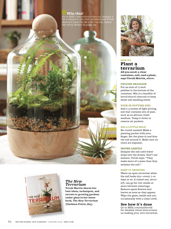 Karin Lidbeck Better Homes and Gardens Terrarium Feature