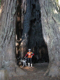 pep and her bicycle standing inside a hollowed-out, burned redwood tree, Big Basin Redwoods State Park, California