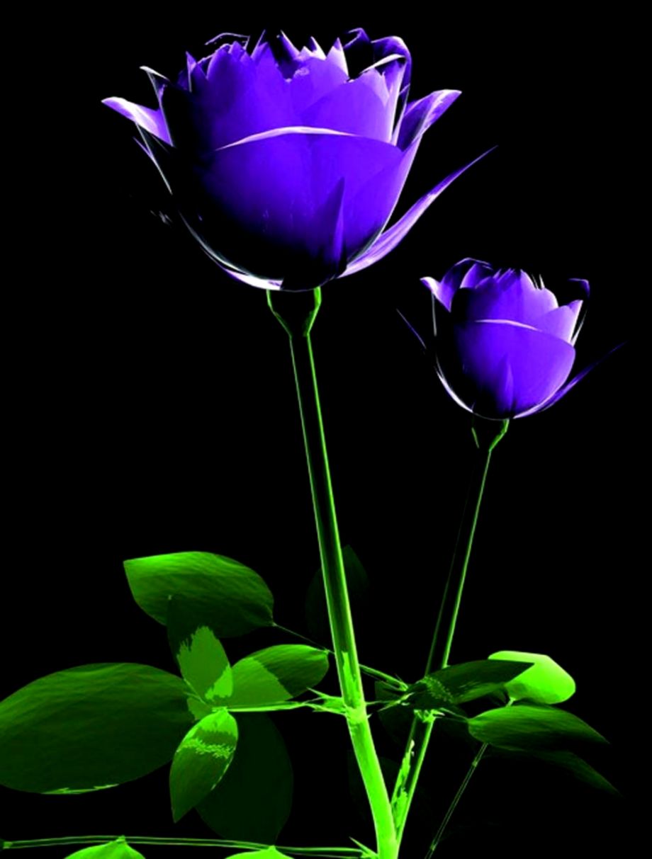new wallpaper for mobile free download hd new wallpaper for mobile free download hd