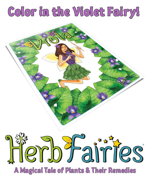 Eccentric Eclectic Woman Teach Your Child Herbs With Herb Fairies!