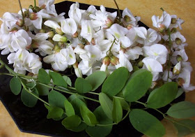 Les 52 Meilleures Images De Fleur Rose Rouge Fleur Rose Rouge