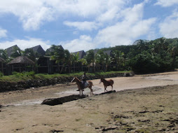 horse and baby