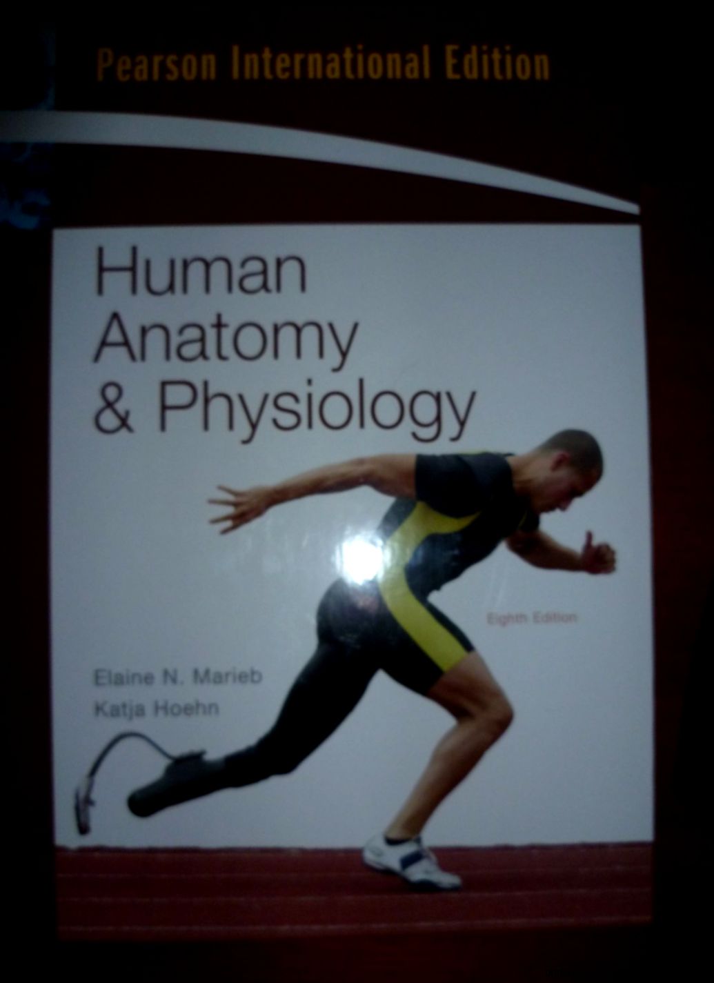 Human anatomy and physiology 8th edition marieb Human anatomy and physiology 8th edition marieb