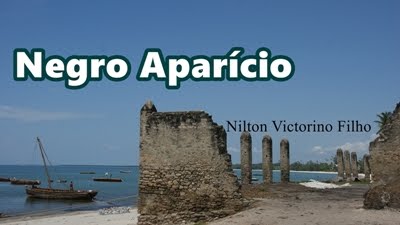 As peripécias e aventuras de Negro Aparício.