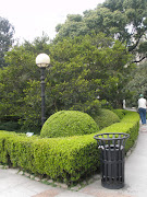 They were in the trees in the park, but in little . (huaihai park boxwood bush and tree)
