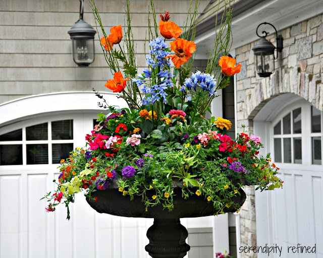Brightly colored annual flowers spring and summer urn planter
