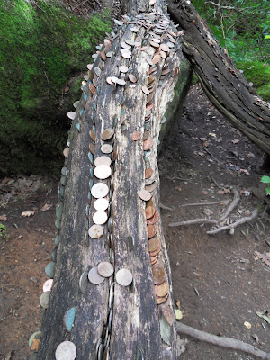 Coins for the pixies at Becky Falls, Dartmoor