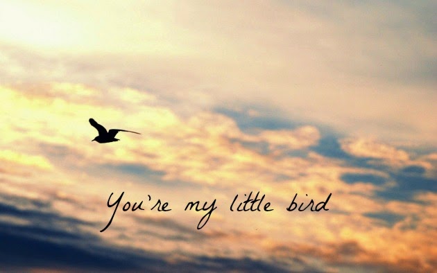 You're my little bird