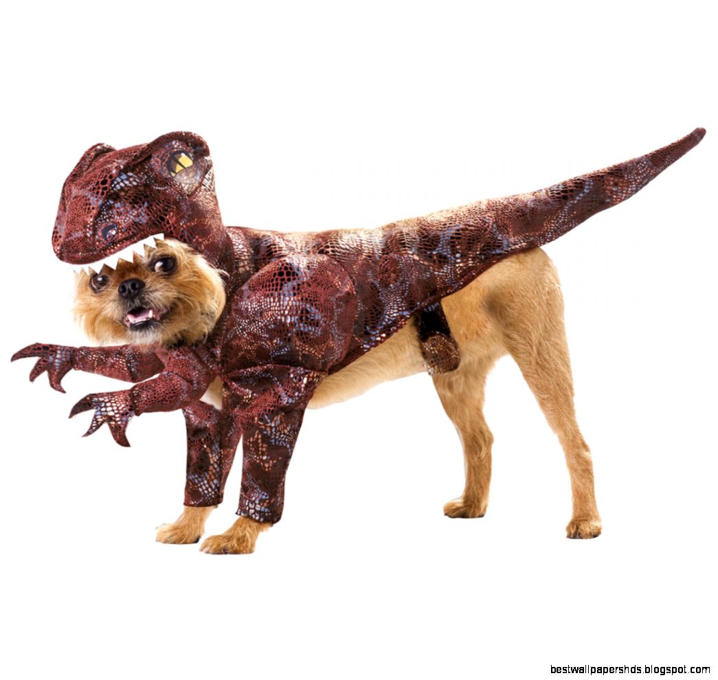 Animal Planet Raptor Dog Costume Pet Costumes Animal Planet Raptor Dog Costume Pet Costumes