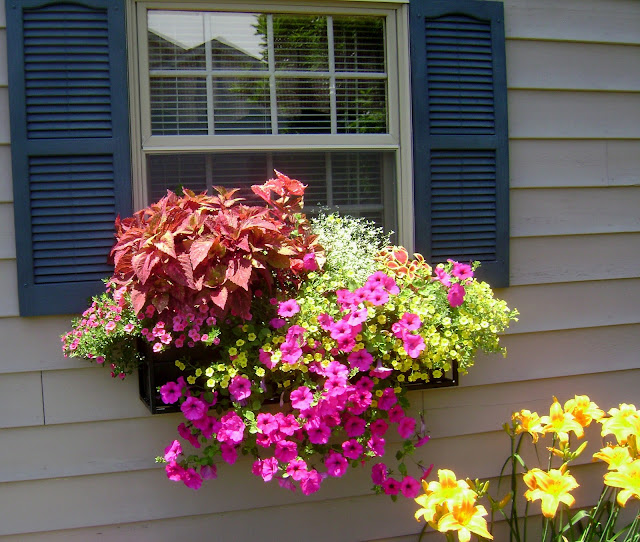 Prairie Rose's Garden Summer Garden Walks