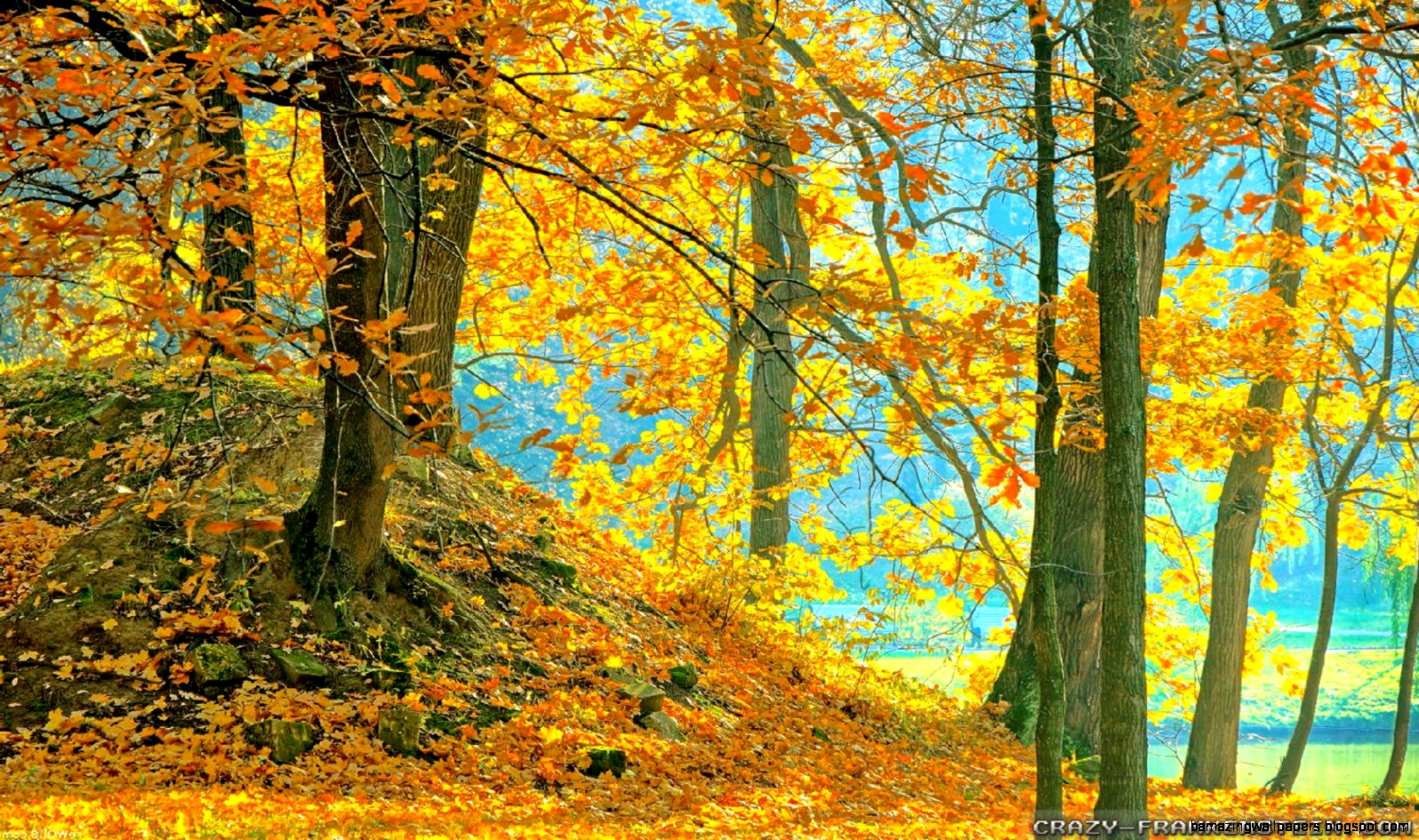 Autumn Woods wallpapers Seasonal Crazy Frankenstein Autumn Woods wallpapers Seasonal Crazy Frankenstein