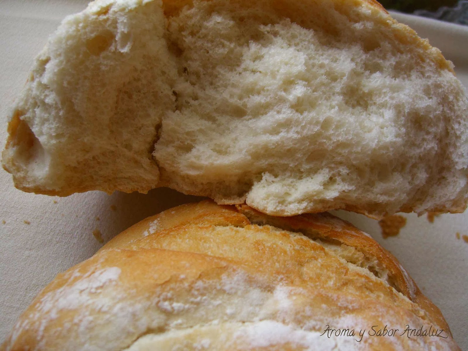 Aroma y Sabor Andaluz Migas de pan