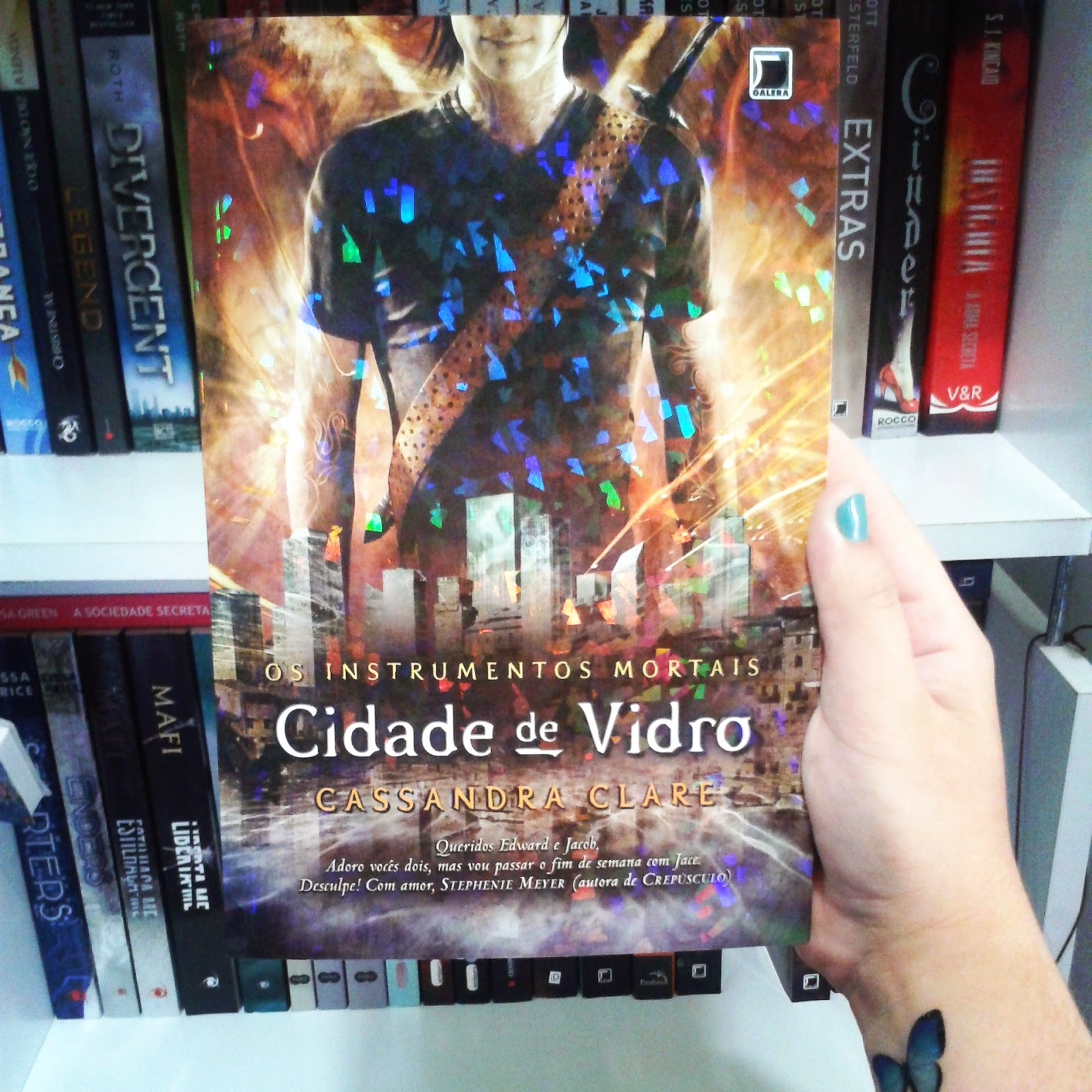 Amores e Livros: Minha vez de Brilhar – Erin E. Moulton