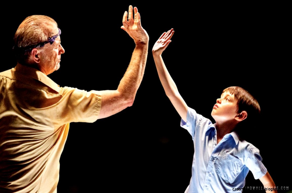 St Vincent 2014 Movie HD Wallpaper iHD Wallpapers St Vincent 2014 Movie HD Wallpaper iHD Wallpapers